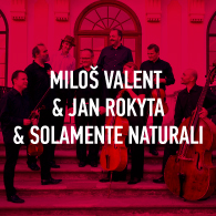Musica Globus